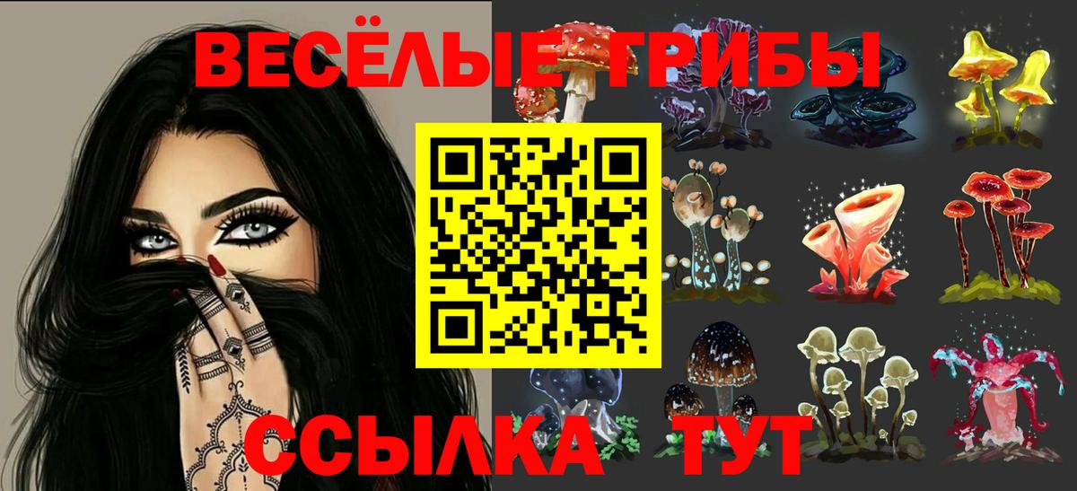 Саратов  Псилоцибиновые грибы Cubensis  Вход с VPN 